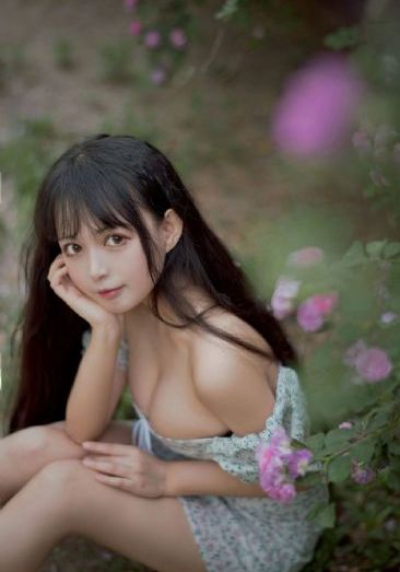 墨染梨花白短剧免费观看_1080全集免费播放